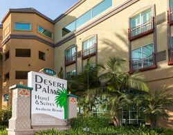 Desert Palms Hotel & Suites Dış Mekan