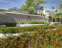 Desert Rose Resort Genel