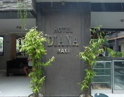 Hotel Diana Dış Mekan