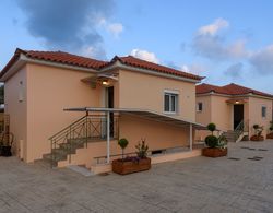 Dimitra Villa with Private Pool 250m to the beach Dış Mekan
