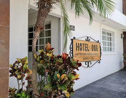 Hotel DNA Cancun Dış Mekan