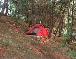 Dolmus Camping Genel