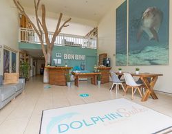Dolphin Suites & Wellness Curacao Genel