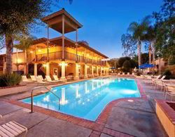Dolphins Cove Resort - Extra Holidays Havuz