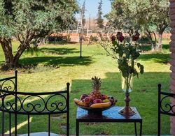 Double Room in a Charming Villa in the Heart of Marrakech Palm Grove Dış Mekan
