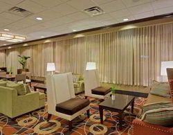 DoubleTree by Hilton Baltimore - BWI Airport Genel