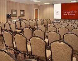 DoubleTree by Hilton Chicago - Schaumburg Genel