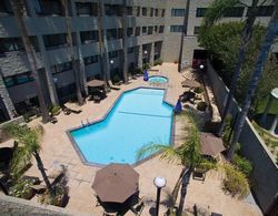 DoubleTree by Hilton Hotel Los Angeles Rosemead Havuz