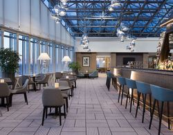 DoubleTree by Hilton Moscow - Vnukovo Airport Genel