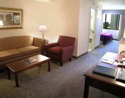 DoubleTree Suites by Hilton Hotel Minneapolis Genel