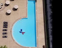 DoubleTree Hotel & Suites Houston by the Galleria Havuz