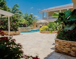 Dream Suites Aruba 4-bedroom Apartment With Tropical Garden, Pool and Whirlpool Dış Mekan