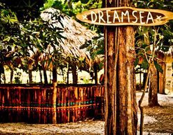 Dreamsea Surf Camp Genel