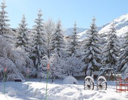 Hôtel du Crêt Rond - Logis Dış Mekan