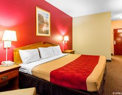 Econo Lodge Auburn Genel