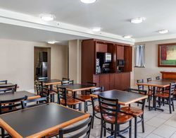 Econo Lodge Inn and Suites Downtown Toronto Genel