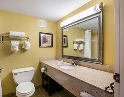 Econo Lodge Inn & Suites Banyo Tipleri