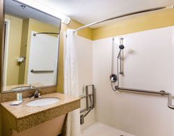 Econo Lodge Inn & Suites Banyo Tipleri