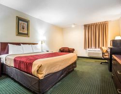 Econo Lodge Inn & Suites Fort Jackson Area Genel