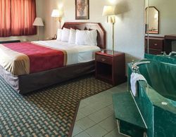 Econo Lodge Inn & Suites Northport Genel
