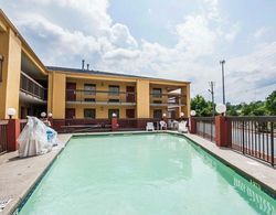Econo Lodge Inn & Suites Tuscaloosa Havuz