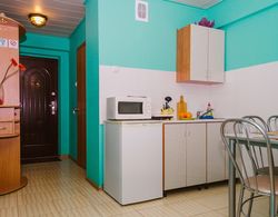 Apartment Economy on Baykalskaya 234B-4-18 Mutfak