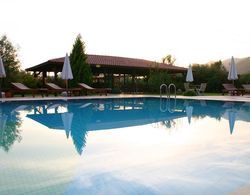 Efe Hotel Gocek Havuz