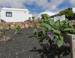 Villa El Jable Lanzarote Dış Mekan