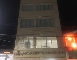 Hotel El Monarca Suite Dış Mekan