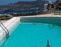 Elegant villa with ocean views & 2 pools Dış Mekan