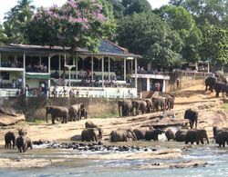Hotel Elephant Park Dış Mekan