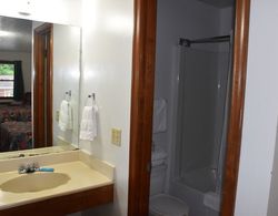 Elkins Economy Inn Banyo Tipleri