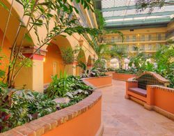 Embassy Suites by Hilton LAX Airport South Genel