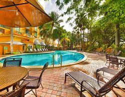 Embassy Suites by Hilton Miami International Airpo Havuz