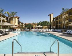 Embassy Suites by Hilton Palm Desert Havuz