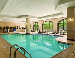 Embassy Suites Louisville Havuz