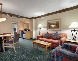 Embassy Suites Raleigh - Durham- Research Trian Genel