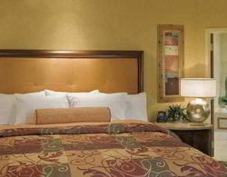 Embassy Suites St. Louis-St. Charles/Hotel & Spa Genel