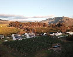Endless Vineyards at Wildekrans Wine Estate Öne Çıkan Resim