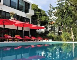 Engy Estoril - Luxury Villas Dış Mekan
