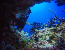 Equa Reef Maldives Genel