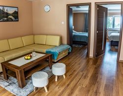 Apartment Eric D11 High Tatras İç Mekan