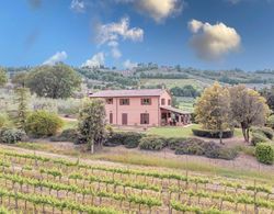 Escape In Umbria, Vineyards of Mevania Öne Çıkan Resim