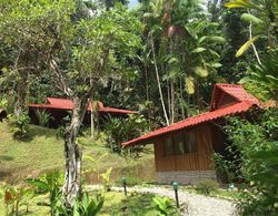 Esquinas Rainforest Lodge Dış Mekan