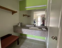 Executive Inn & Suites Banyo Tipleri