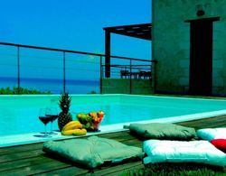 Exensian Villas Suites Deluxe Suite With Private Pool Oda