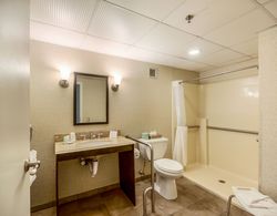 Exton Hotel & Conference Center Banyo Tipleri