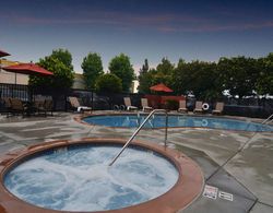 Fairfield Inn & Suites Anaheim North/Buena Park Havuz