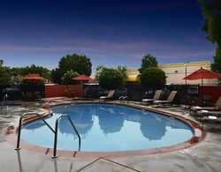 Fairfield Inn & Suites Anaheim North/Buena Park Havuz