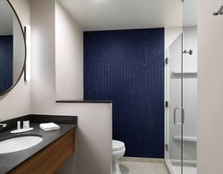 Fairfield Inn & Suites by Marriott O'Fallon, IL Banyo Tipleri